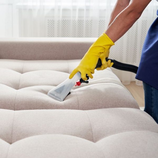 Close-up of housekeeper holding modern washing vacuum cleaner and cleaning dirty sofa with professionally detergent. Professional springclean at home concept Close-up of housekeeper holding modern washing vacuum cleaner and cleaning dirty sofa with professionally detergent. Professional springclean at home concept